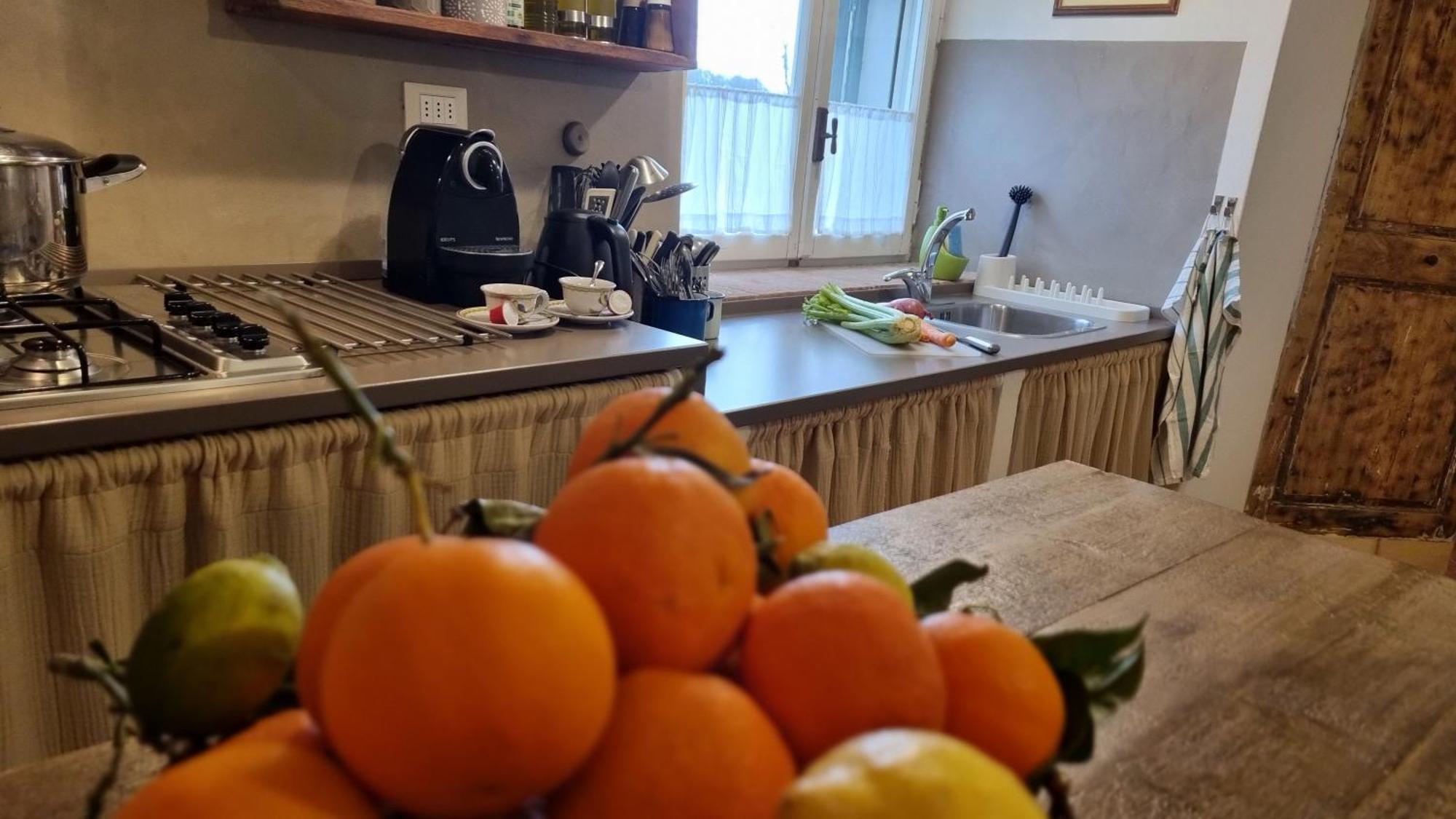Il Piccino 29, Esperienza Romantica In Borgo.... Montescudaio Zewnętrze zdjęcie